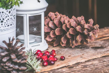 Pine cone and red berries