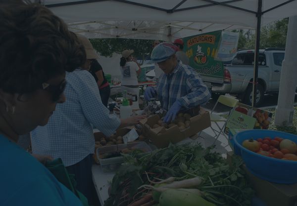 Hispanic Health Research Center photo