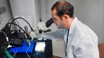 Researchers develop temperature-controlled gene-editing method to potentially improve efforts to control disease-carrying insects