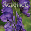 science-mag-cover.jpg