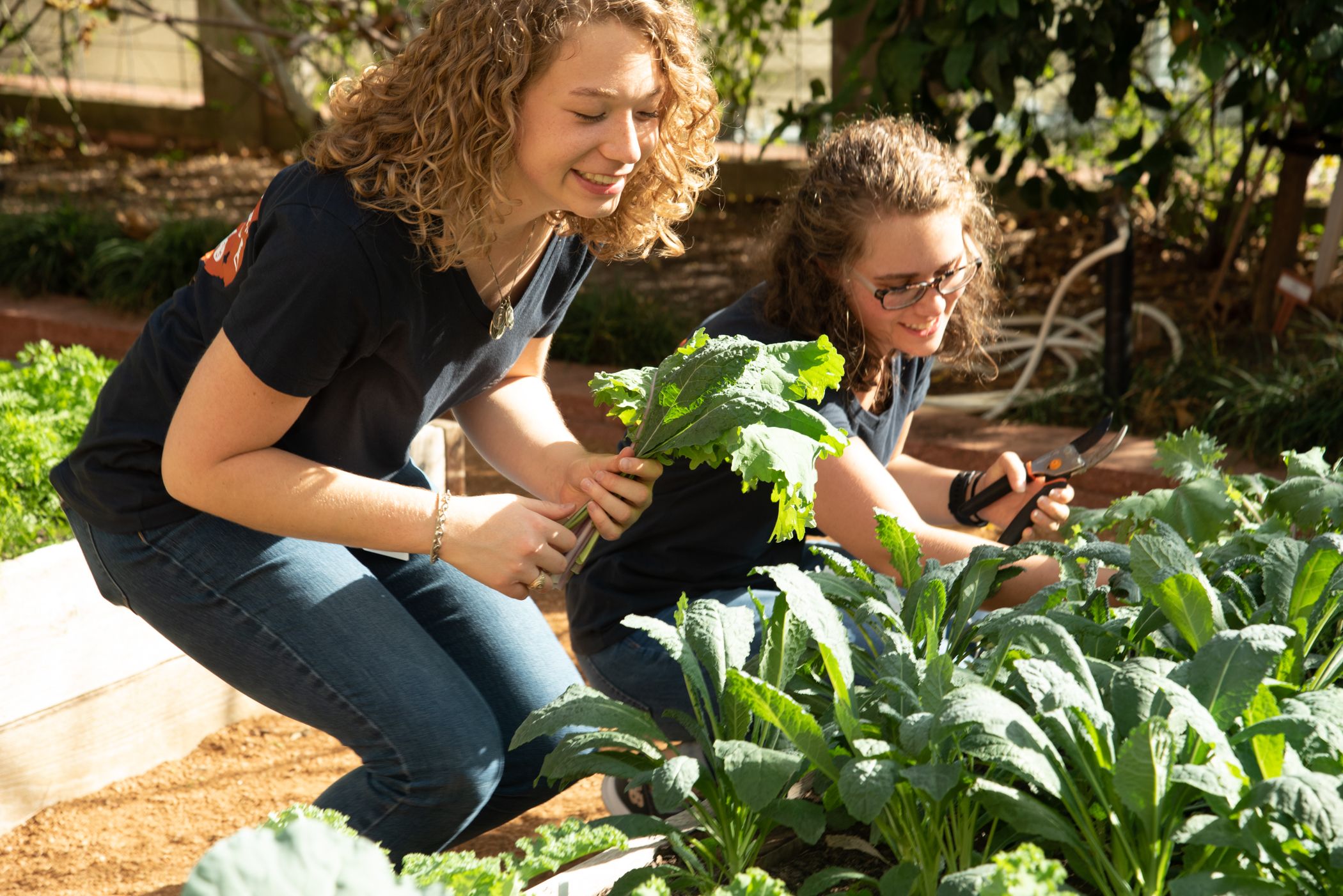 two interns harvesting in garden