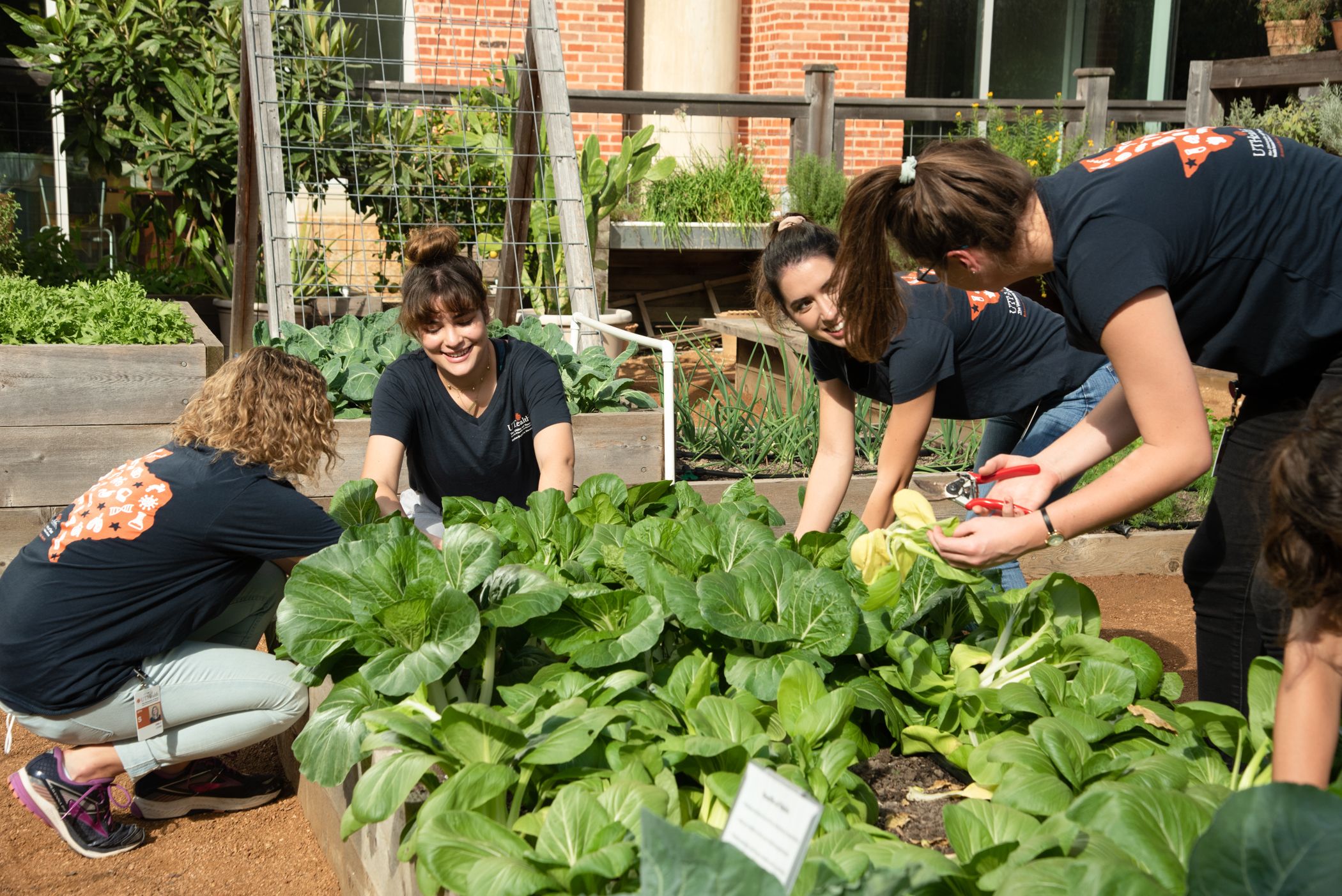 interns_harvesting_nourishgarden