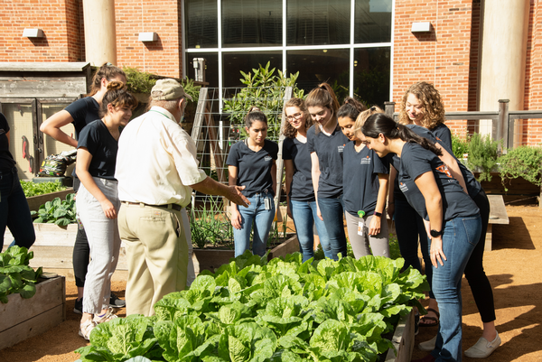 interns in garden photo