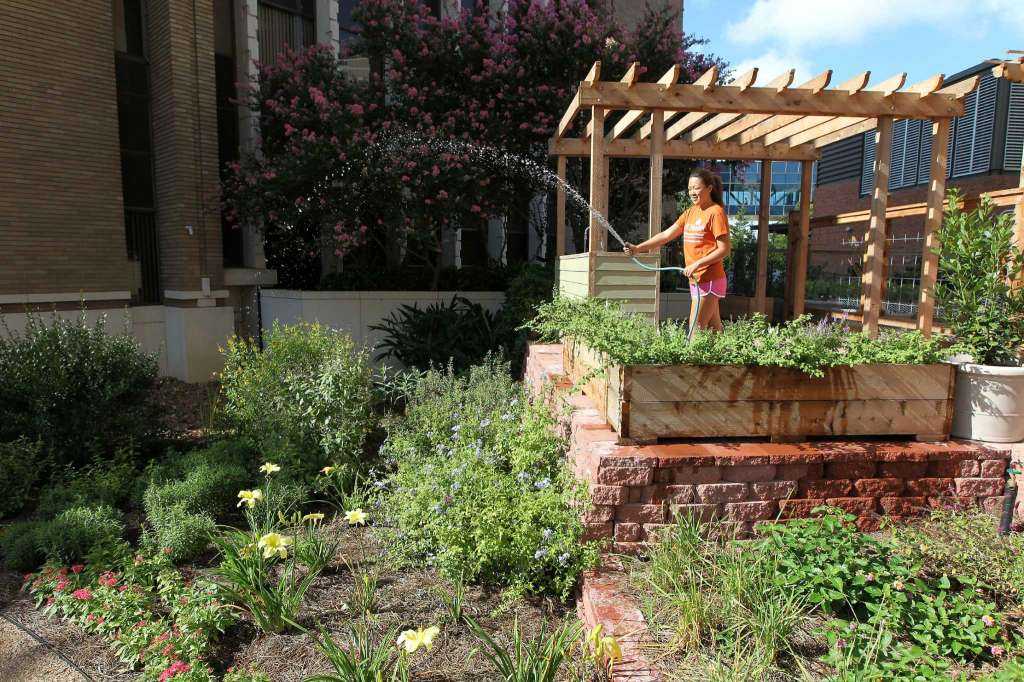 watering garden